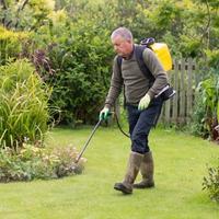 How to spray weed killer on lawn
