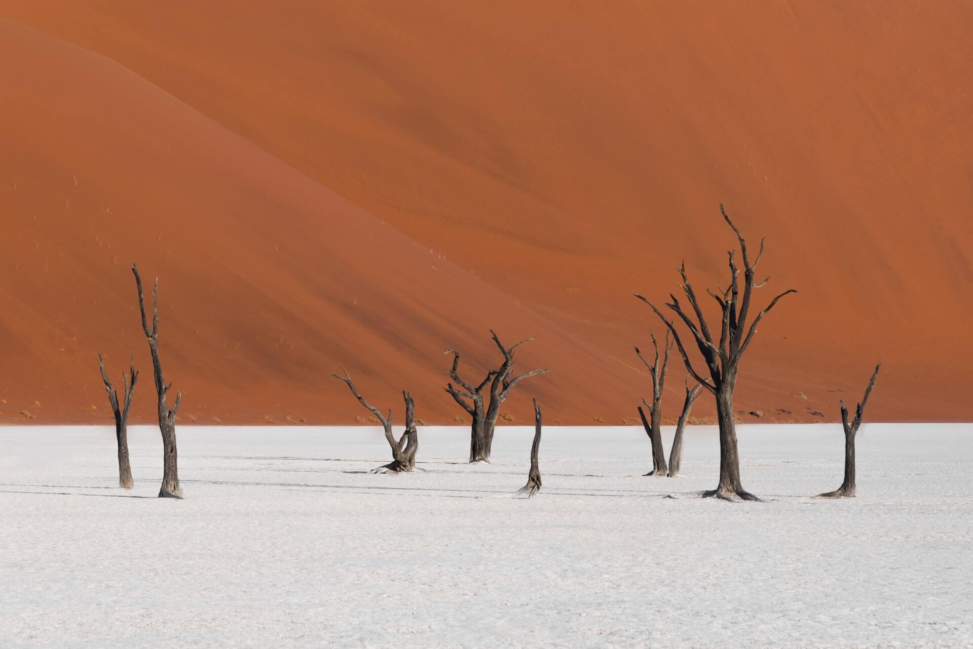A Journey Back in Time: Guide to Visiting Deadvlei in Namibia